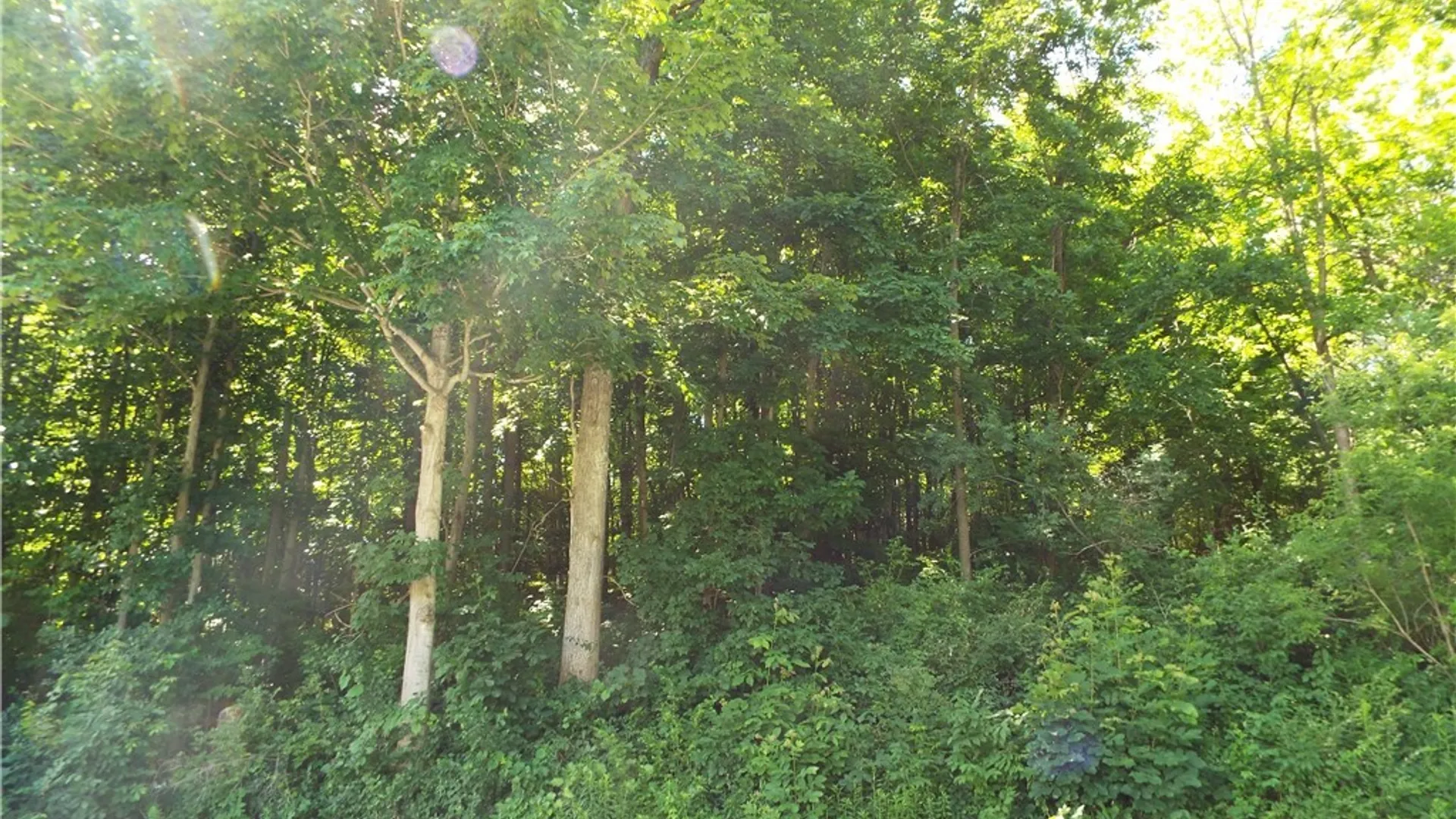 Property at 0 Co Rte 11, Clayton, NY 13624 5