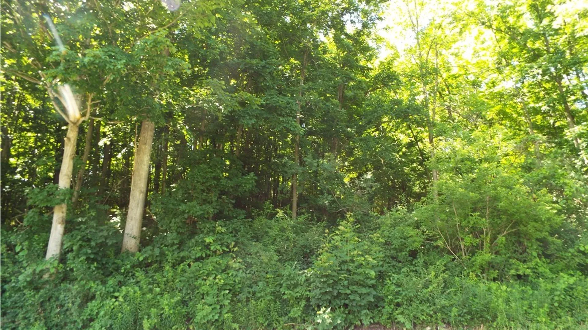 Property at 0 Co Rte 11, Clayton, NY 13624 6