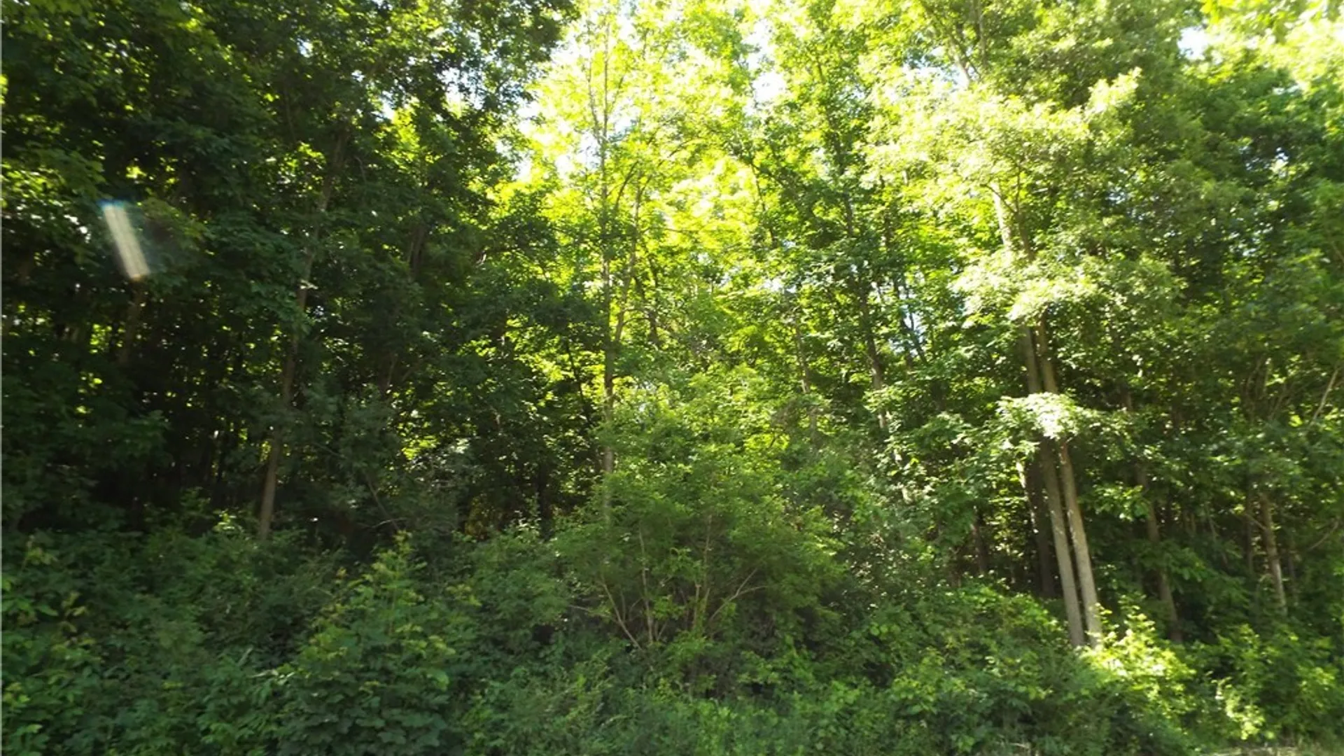 Property at 0 Co Rte 11, Clayton, NY 13624 7