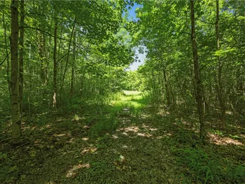 Property at L9 Winegard Road, Seward, NY 12149