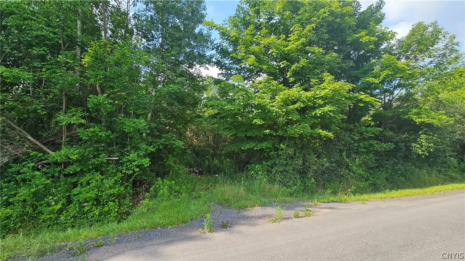 Property at 00 Patten Road, Lowville, NY 13367 4