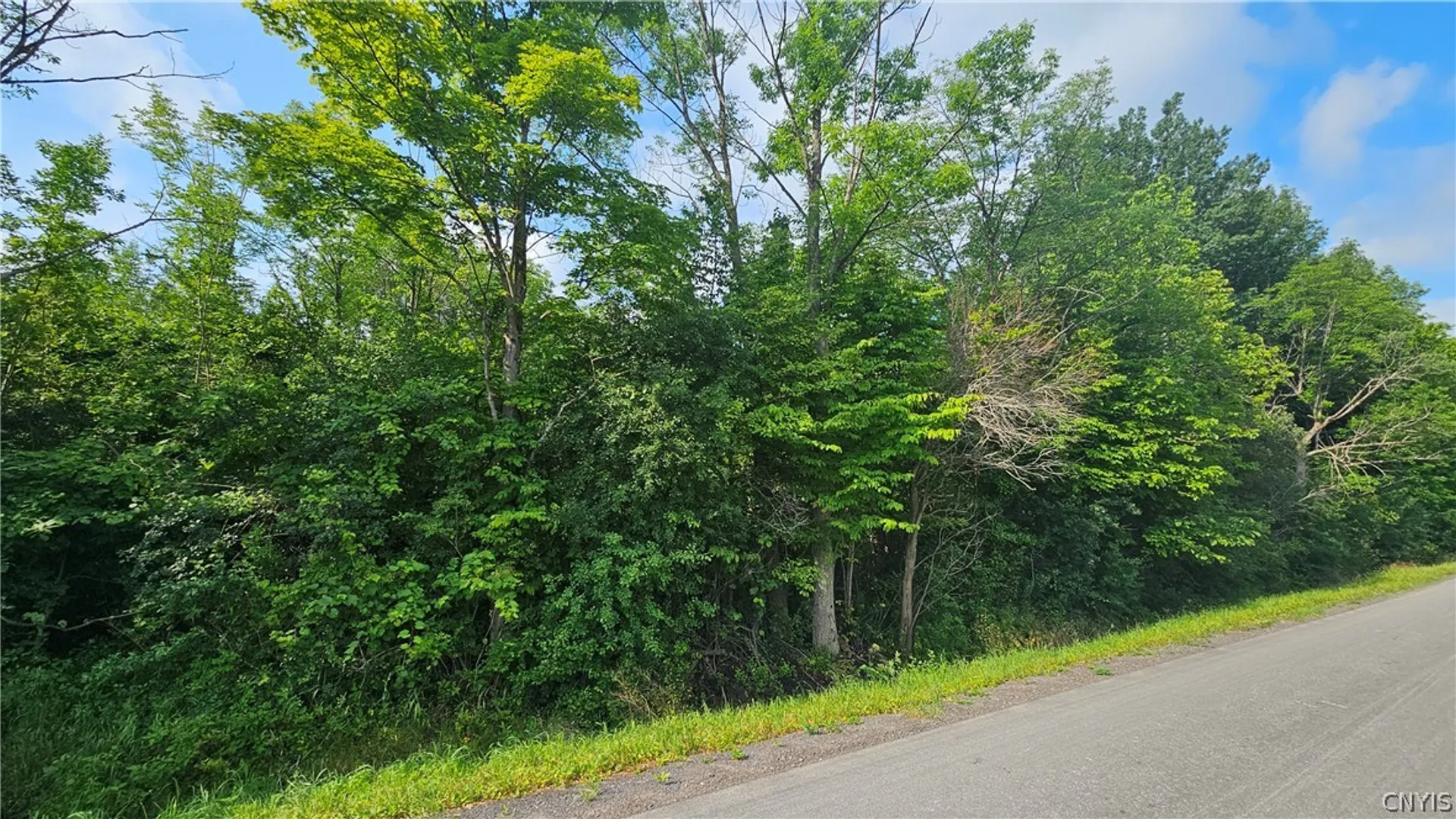 Property at 00 Patten Road, Lowville, NY 13367 6