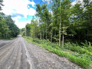 Property at Lot 1 Greenbush Road, Erin, NY 14838