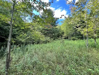 Property at Lot 3 Greenbush Road, Erin, NY 14838