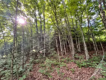 Property at Lot 4 Greenbush Road, Erin, NY 14838