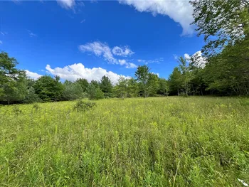 Property at Lot 6 Greenbush Road, Erin, NY 14838