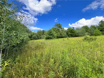 Property at Lot 8 Greenbush Road, Erin, NY 14838