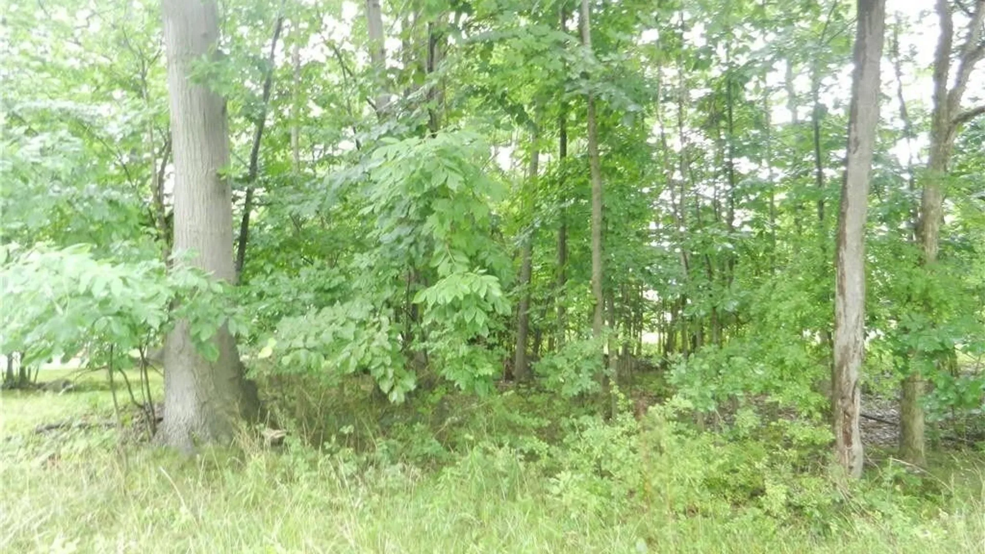 Property at 9815 Redwing Street, Evans, NY 14006 4