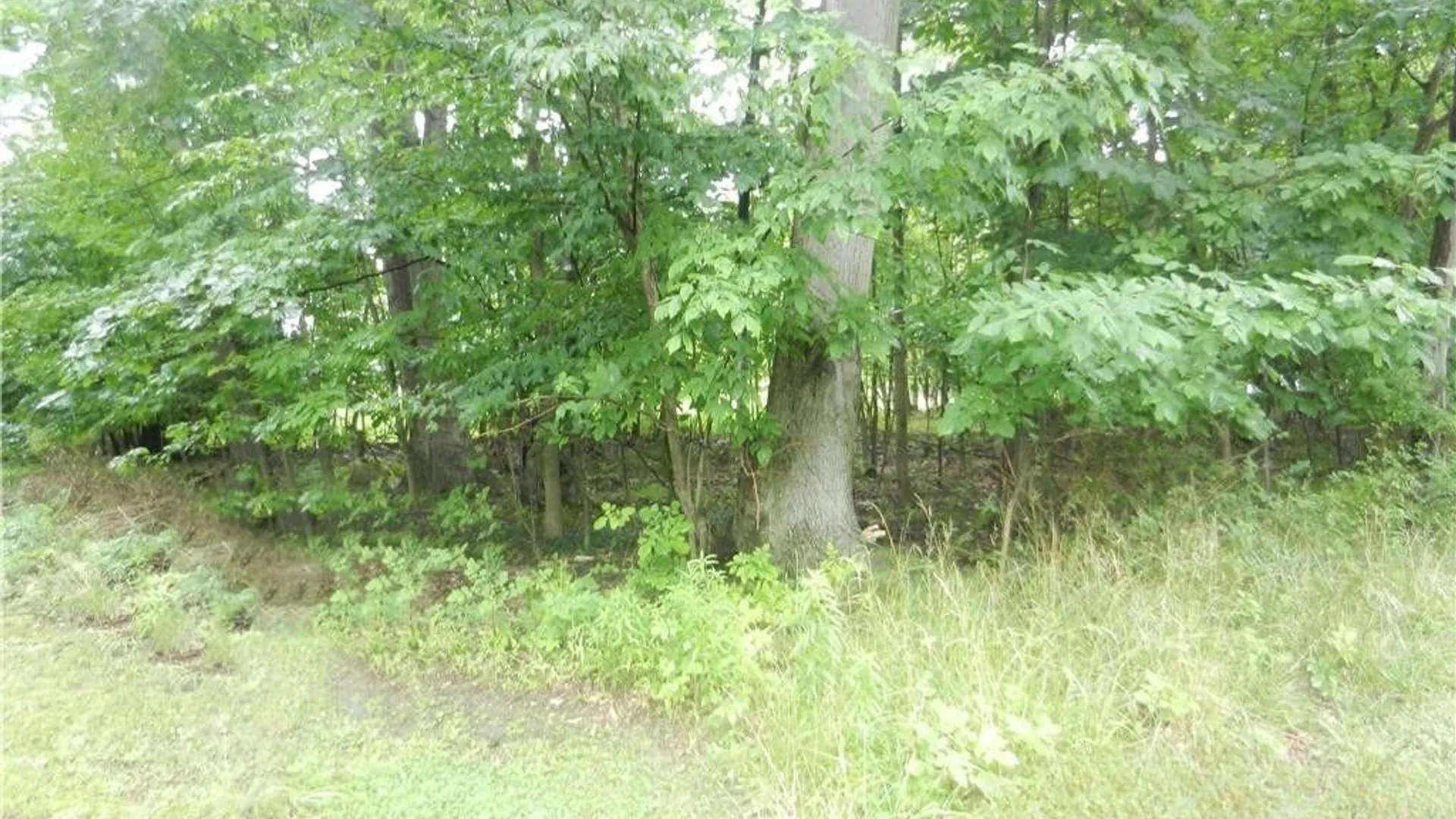 Property at 9815 Redwing Street, Evans, NY 14006 7