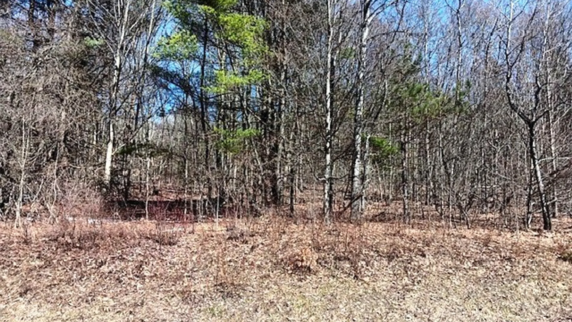 Property at 708 Smokey Avenue, Maryland, NY 12155 7