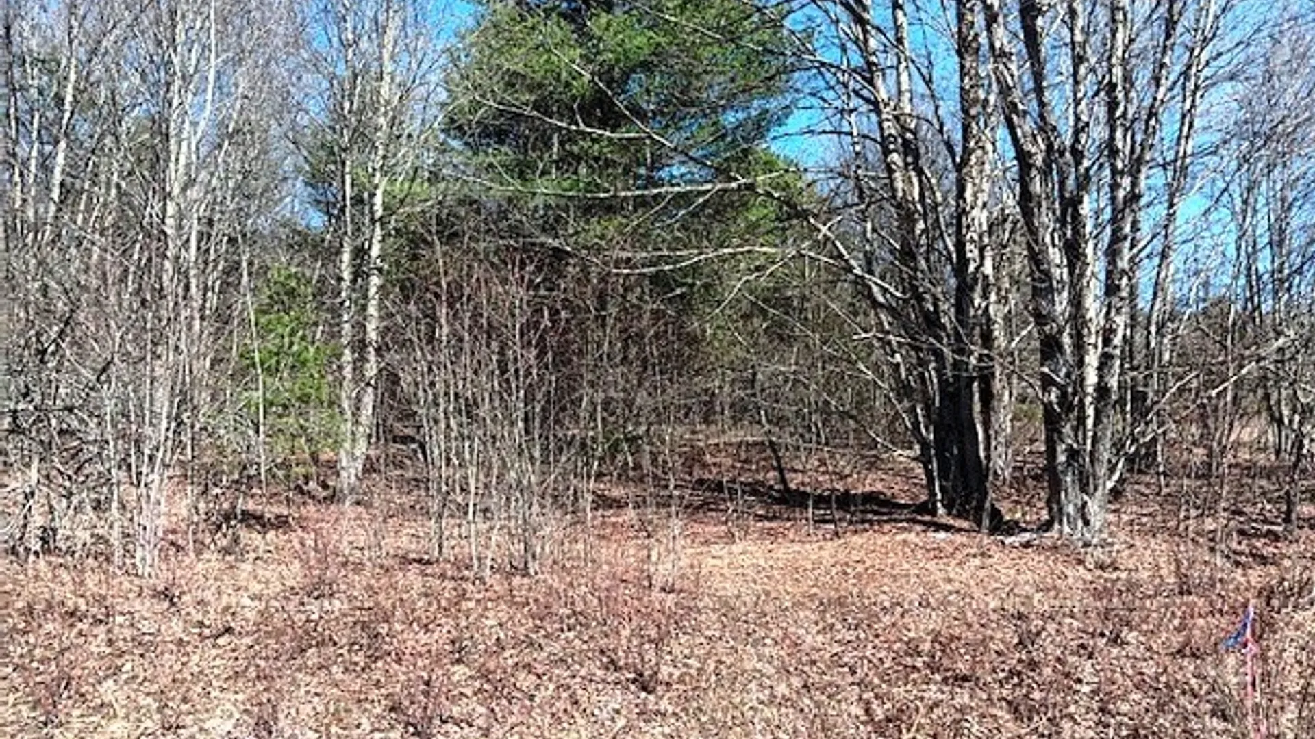 Property at 708 Smokey Avenue, Maryland, NY 12155 8