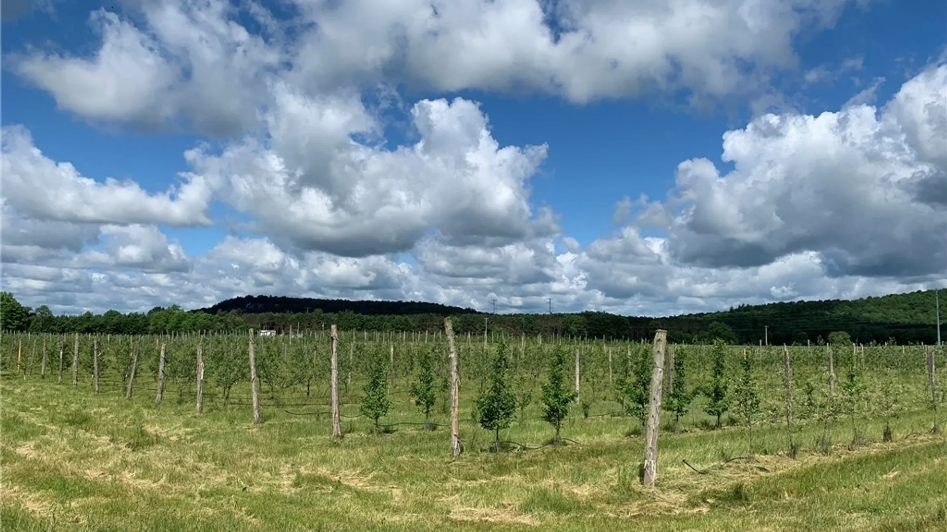 Property at 646 State Highway 3, Pitcairn, NY 13648 11