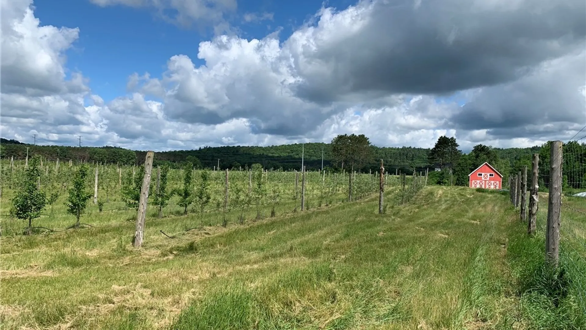 Property at 646 State Highway 3, Pitcairn, NY 13648 12