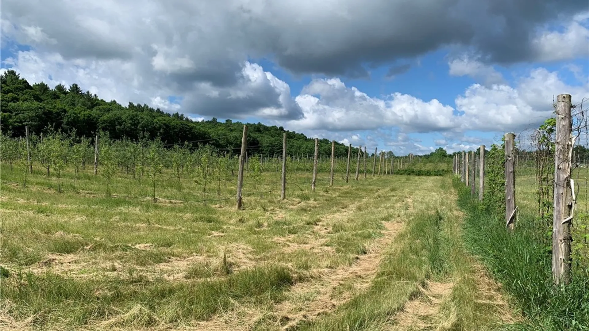 Property at 646 State Highway 3, Pitcairn, NY 13648 14