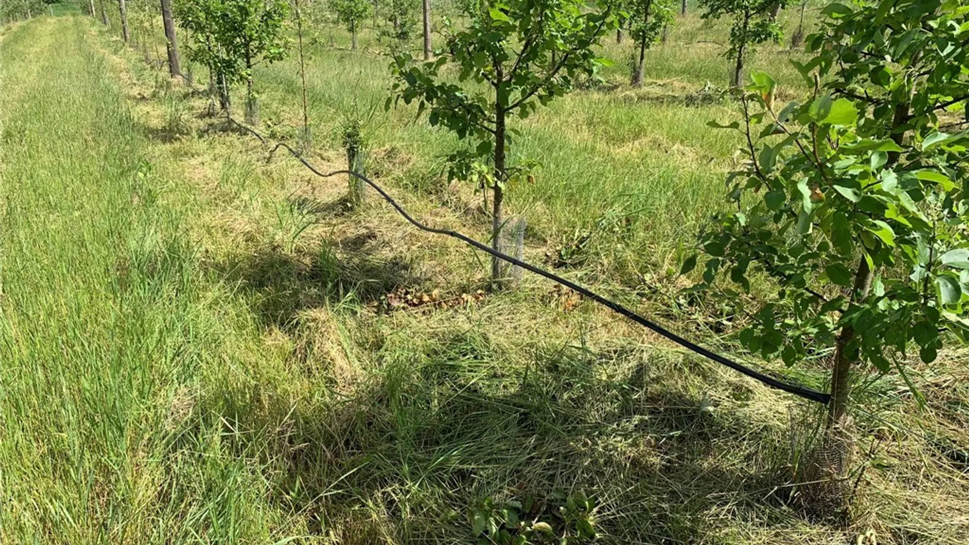 Property at 646 State Highway 3, Pitcairn, NY 13648 15