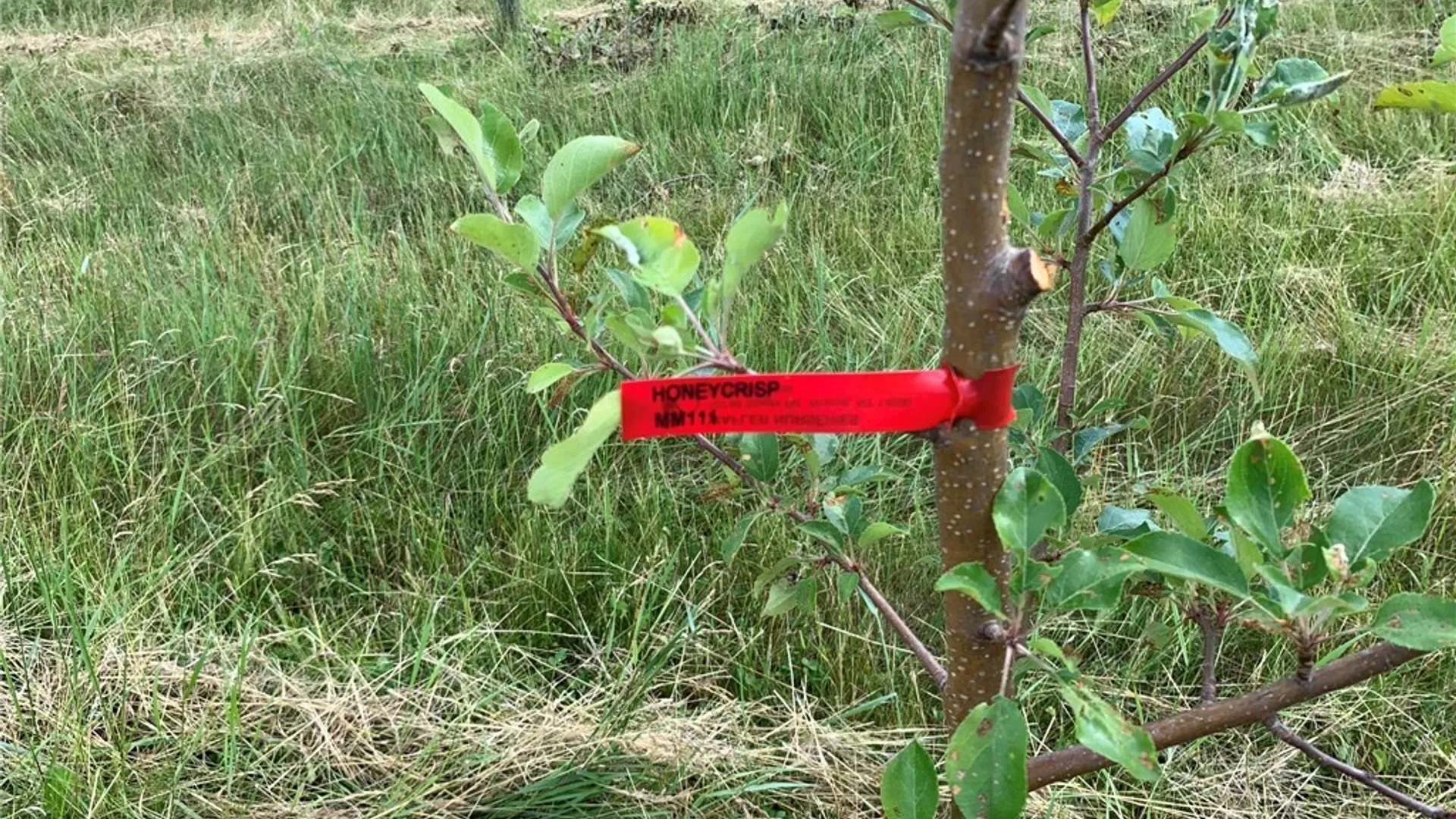 Property at 646 State Highway 3, Pitcairn, NY 13648 19