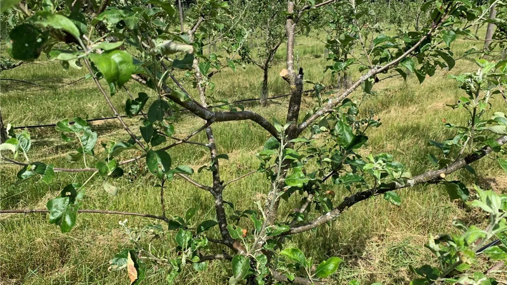 Property at 646 State Highway 3, Pitcairn, NY 13648 22