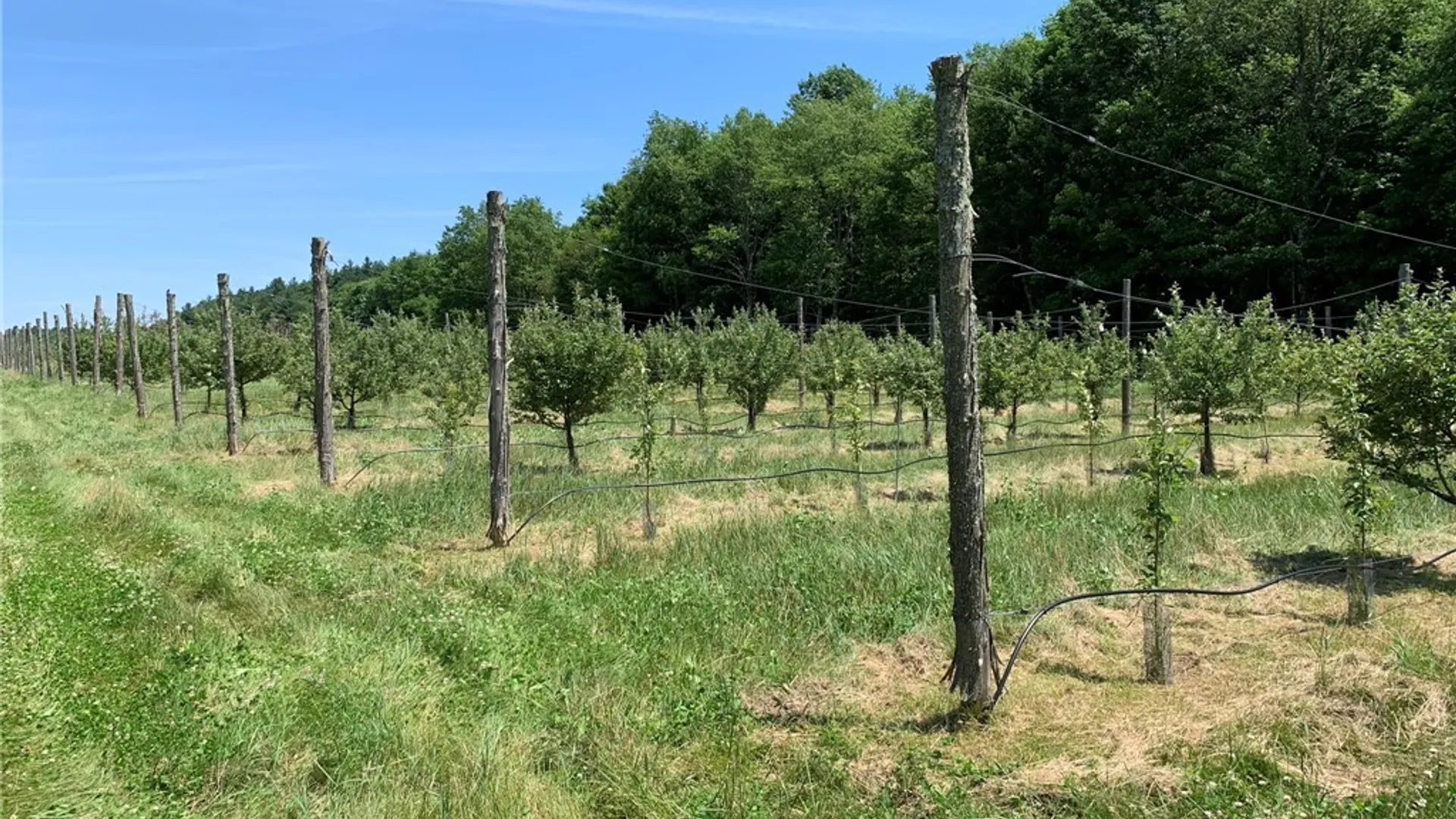 Property at 646 State Highway 3, Pitcairn, NY 13648 27