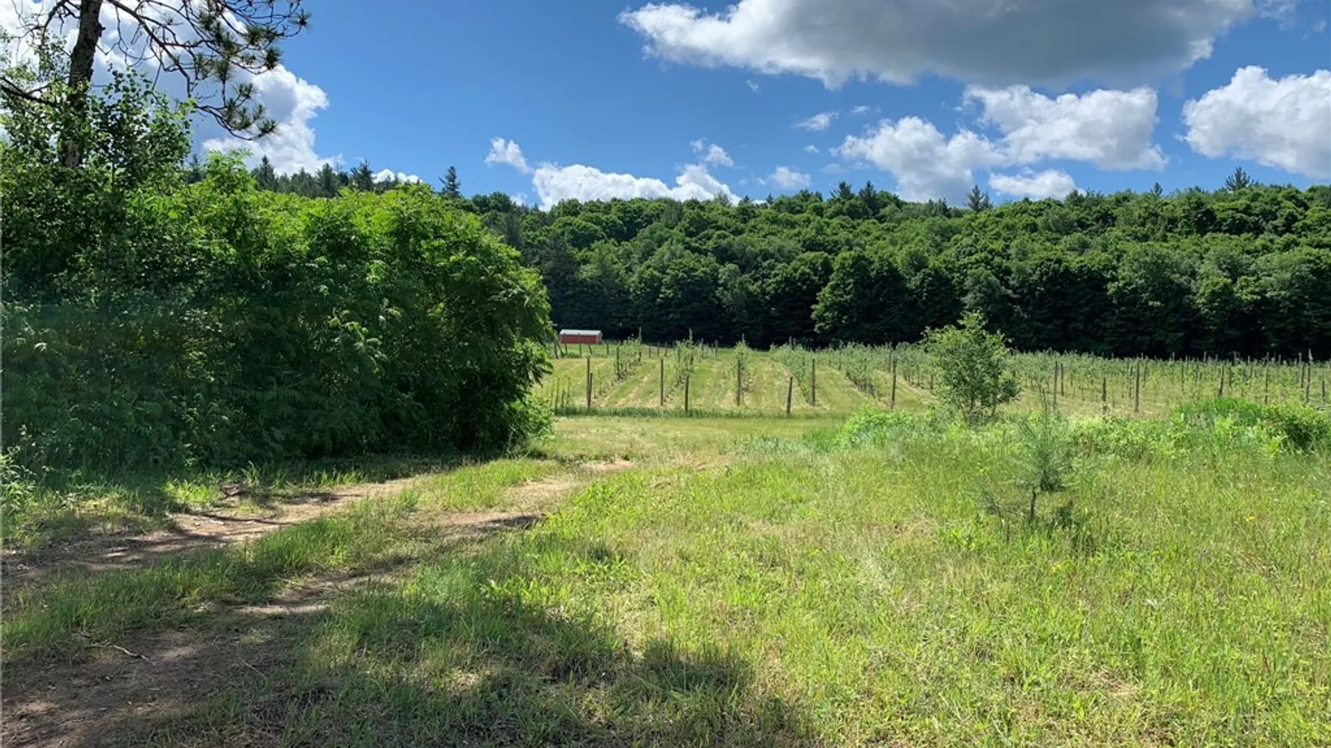 Property at 646 State Highway 3, Pitcairn, NY 13648 50