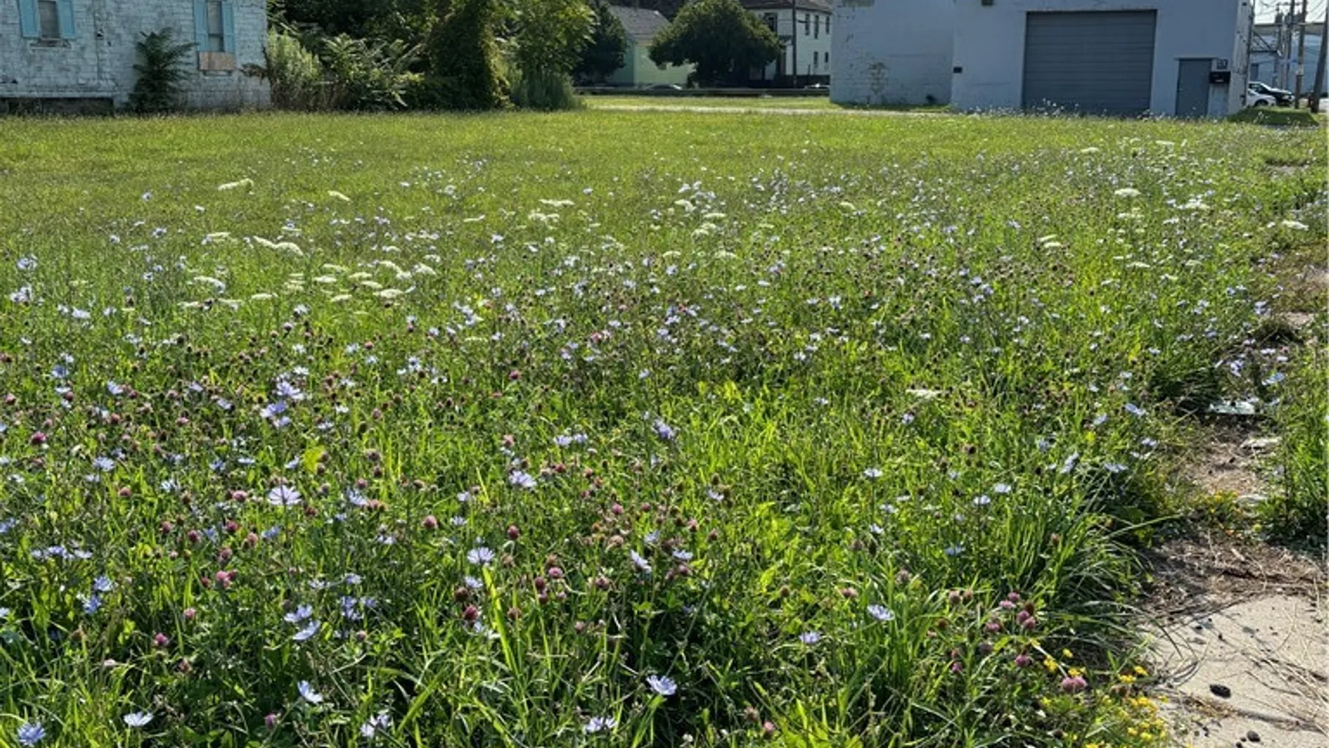 Property at 43 Baitz Avenue, Buffalo, NY 14206 2