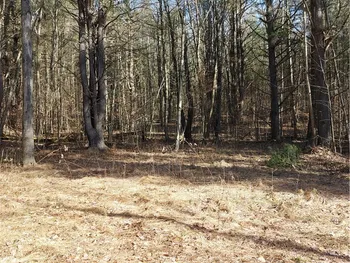 Property at V/L Corbett Hollow Road, Orange, NY 14815