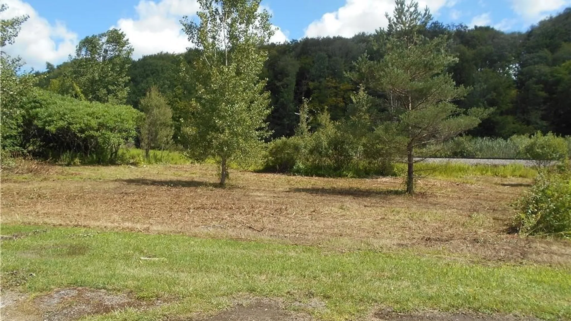 Property at 10628 Route 16, Yorkshire, NY 14042 10