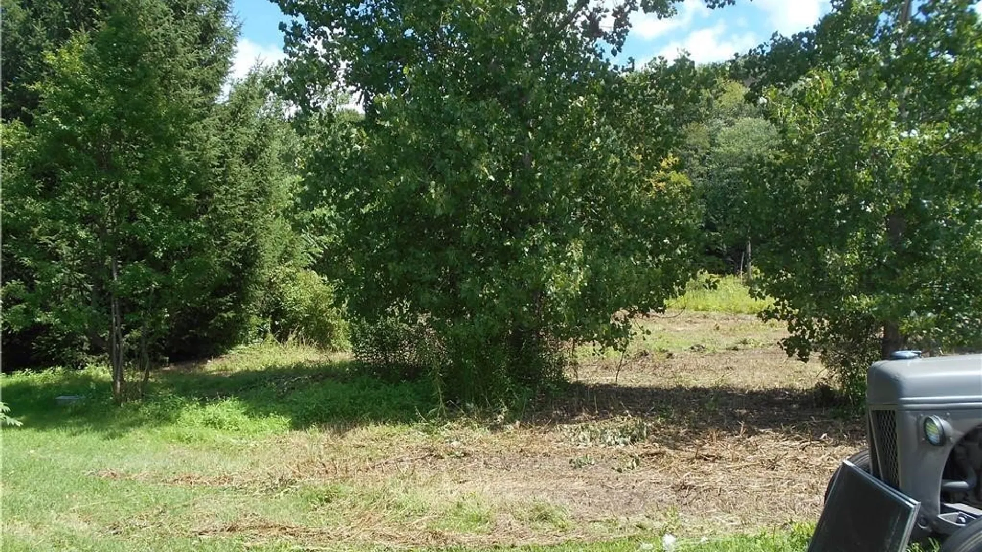 Property at 10628 Route 16, Yorkshire, NY 14042 12