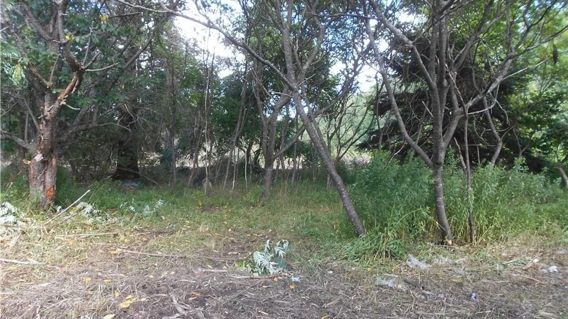 Property at 10628 Route 16, Yorkshire, NY 14042 15