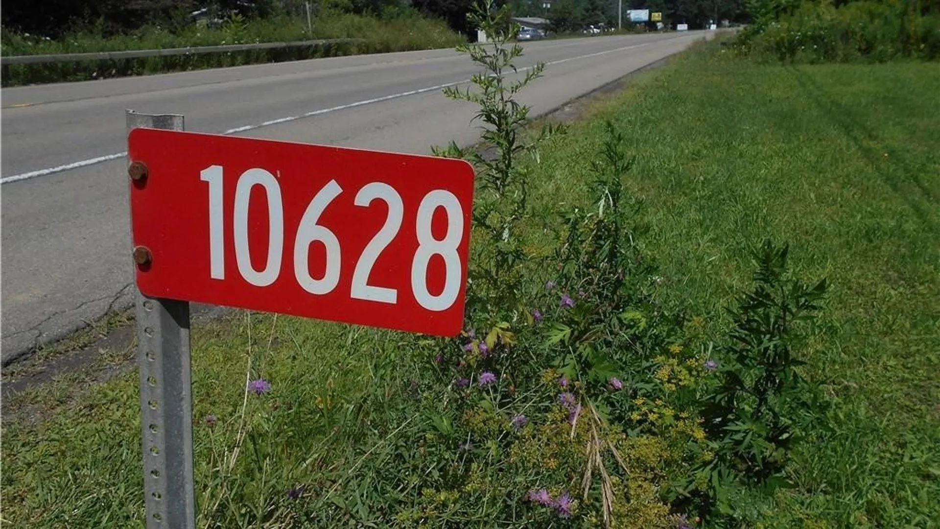 Property at 10628 Route 16, Yorkshire, NY 14042 2