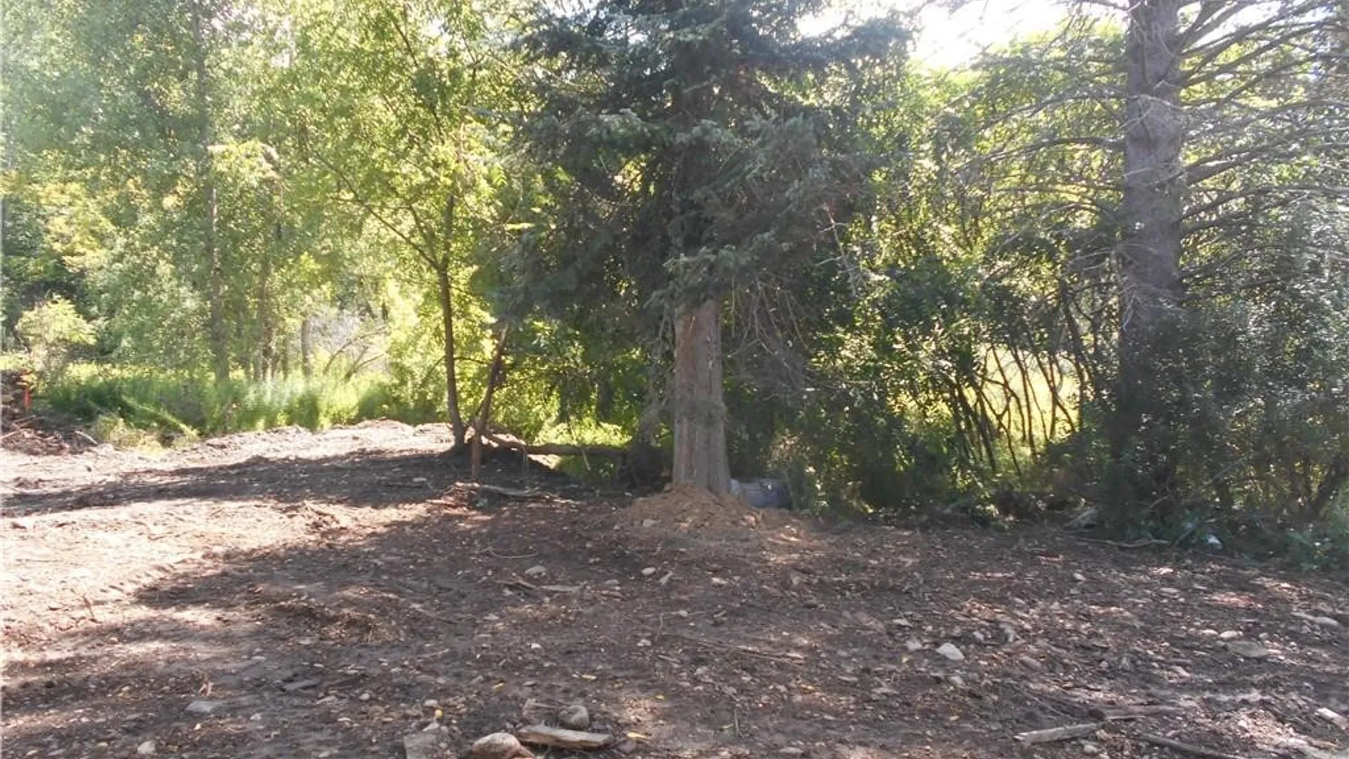 Property at 10628 Route 16, Yorkshire, NY 14042 20