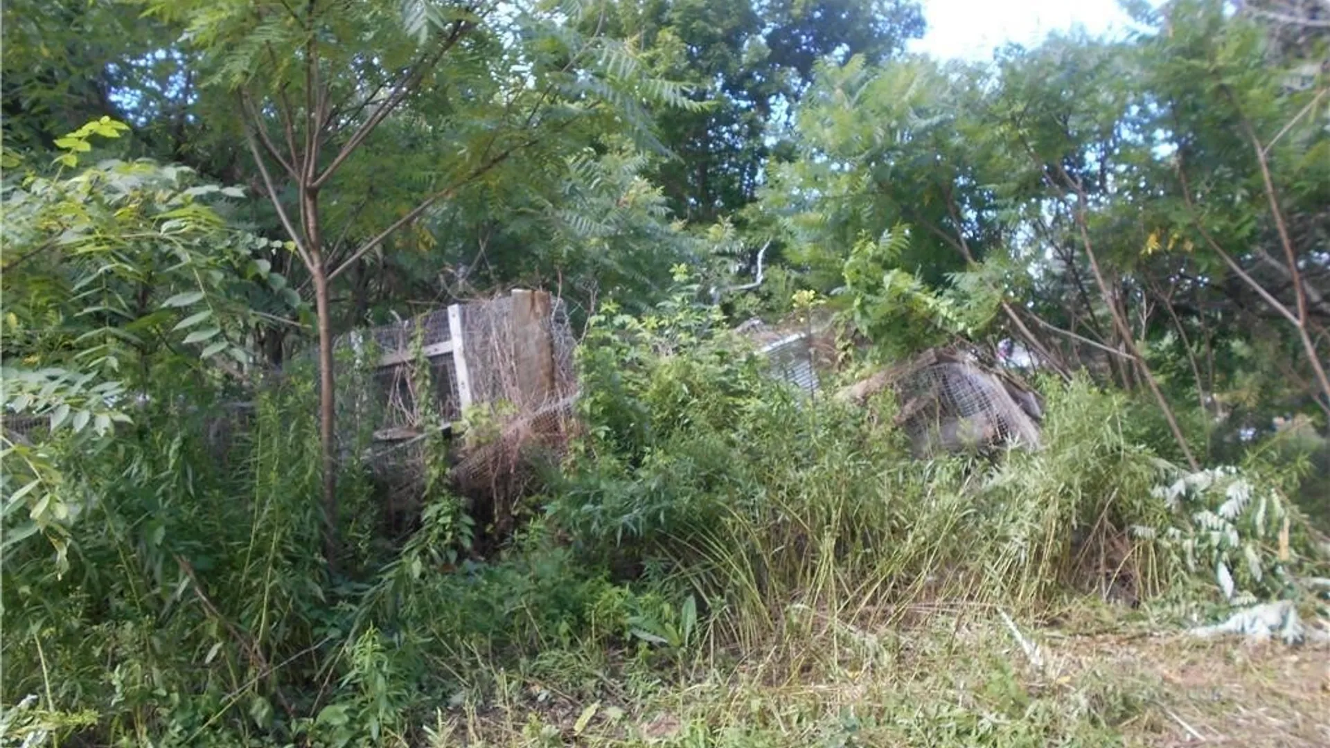 Property at 10628 Route 16, Yorkshire, NY 14042 23