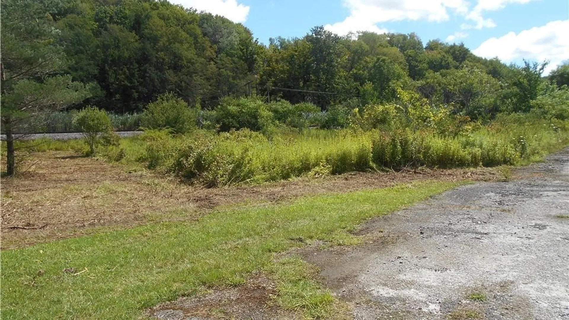 Property at 10628 Route 16, Yorkshire, NY 14042 3