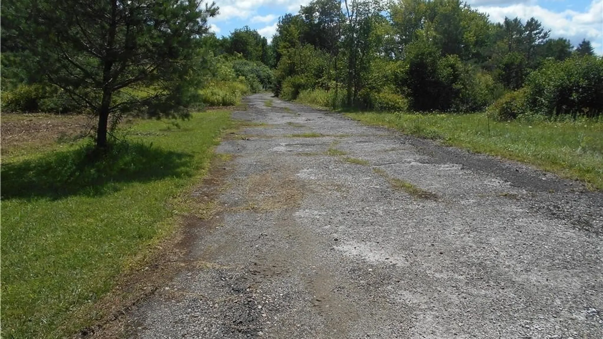 Property at 10628 Route 16, Yorkshire, NY 14042 7