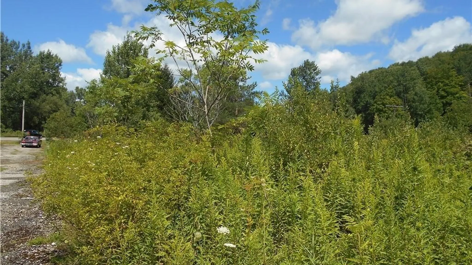 Property at 10628 Route 16, Yorkshire, NY 14042 8