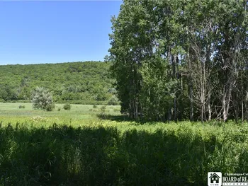 Property at 0 Farrington Hollow, Cherry Creek, NY 14723