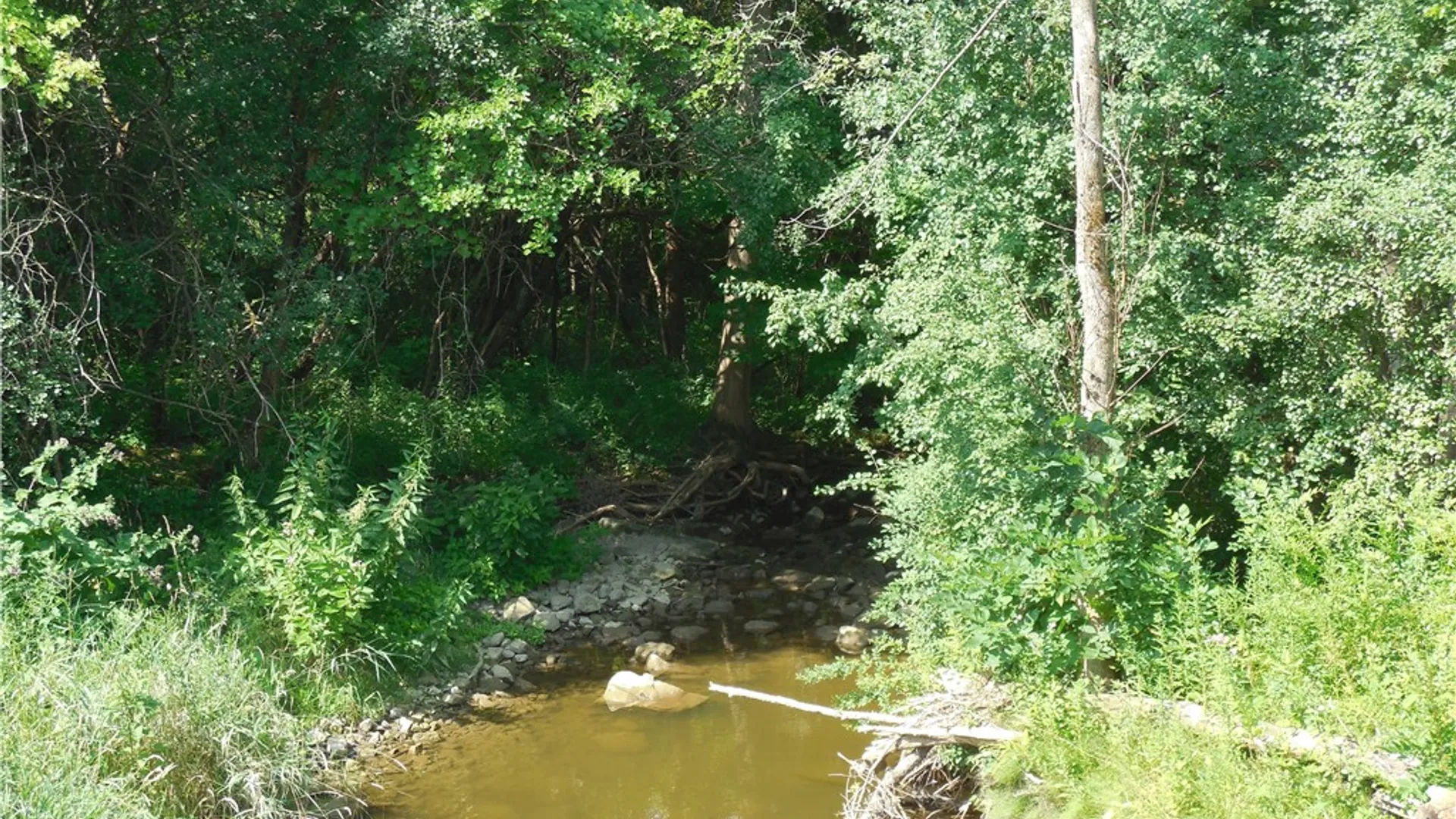 Property at 15 Clymer Street, Auburn, NY 13021 10