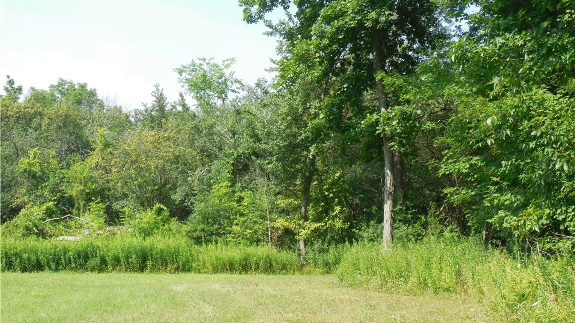 Property at 15 Clymer Street, Auburn, NY 13021 11