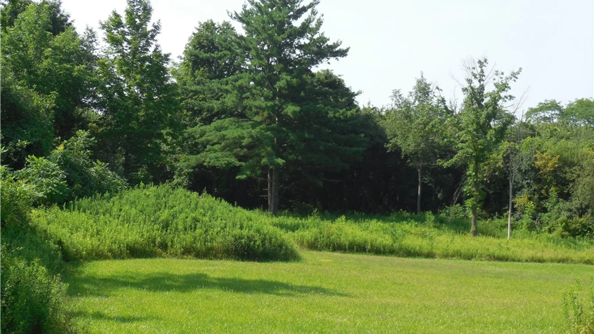 Property at 15 Clymer Street, Auburn, NY 13021 13