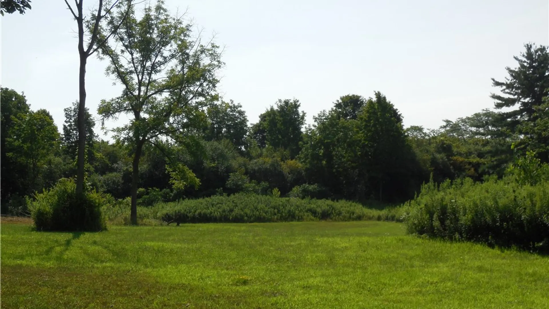 Property at 15 Clymer Street, Auburn, NY 13021 16