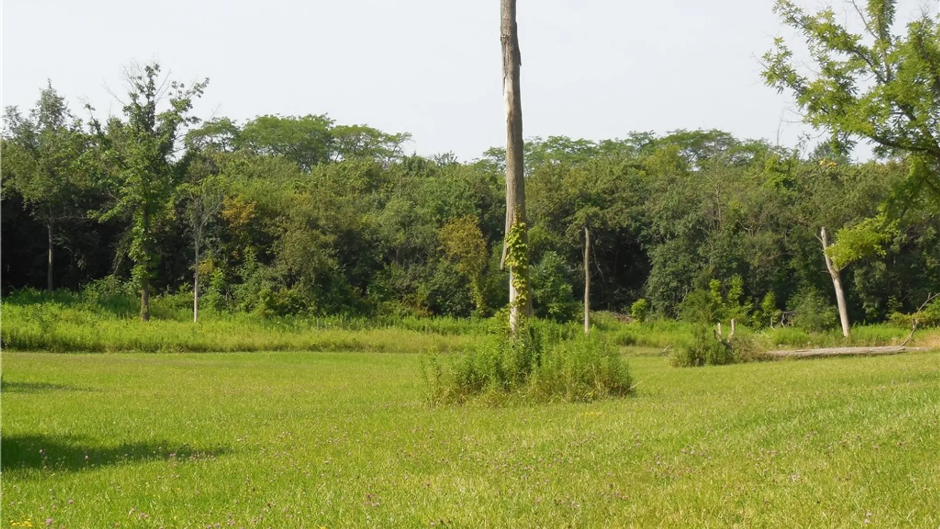 Property at 15 Clymer Street, Auburn, NY 13021 17