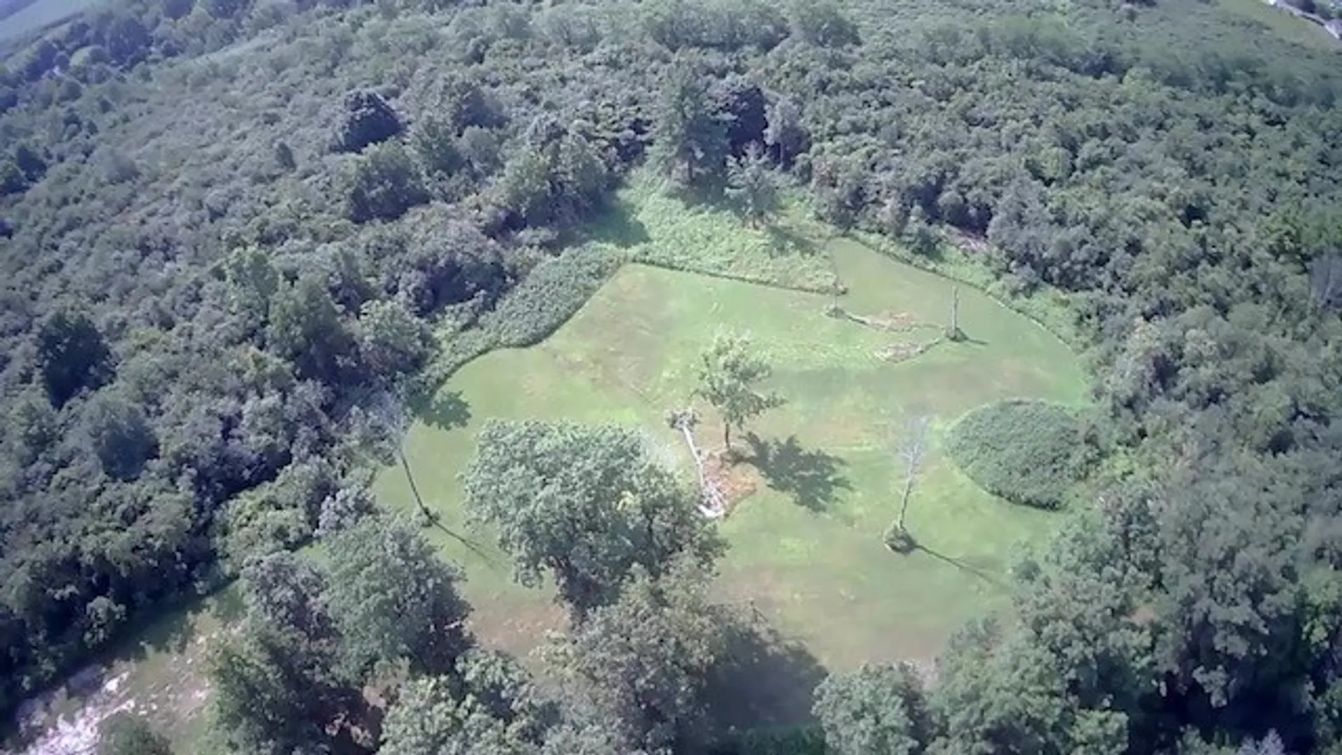 Property at 15 Clymer Street, Auburn, NY 13021 9