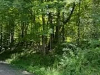 Property at 0 Sanly Road, Franklin, NY 13839