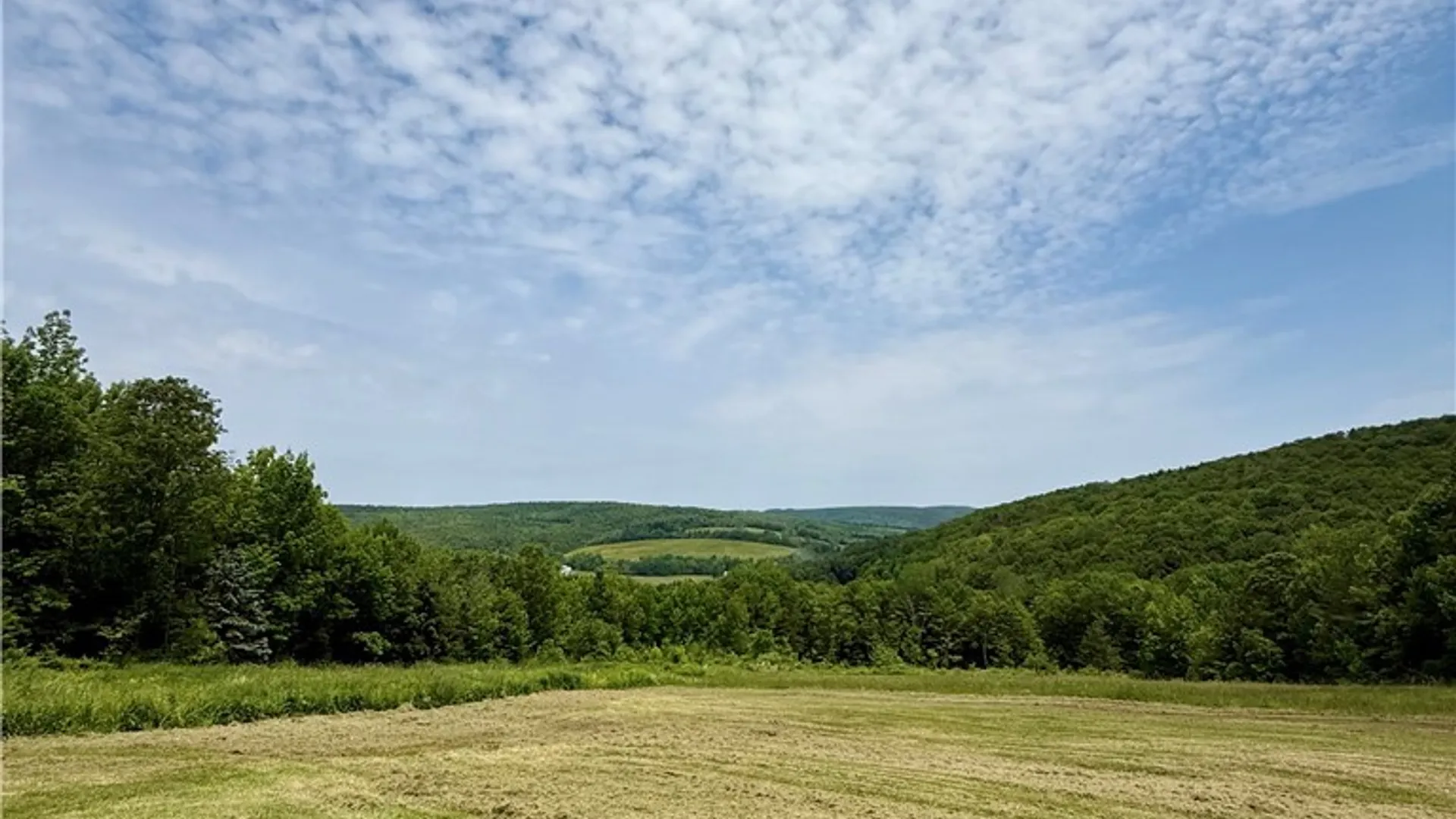 Property at 930 Reit Road, Otselic, NY 13464 36