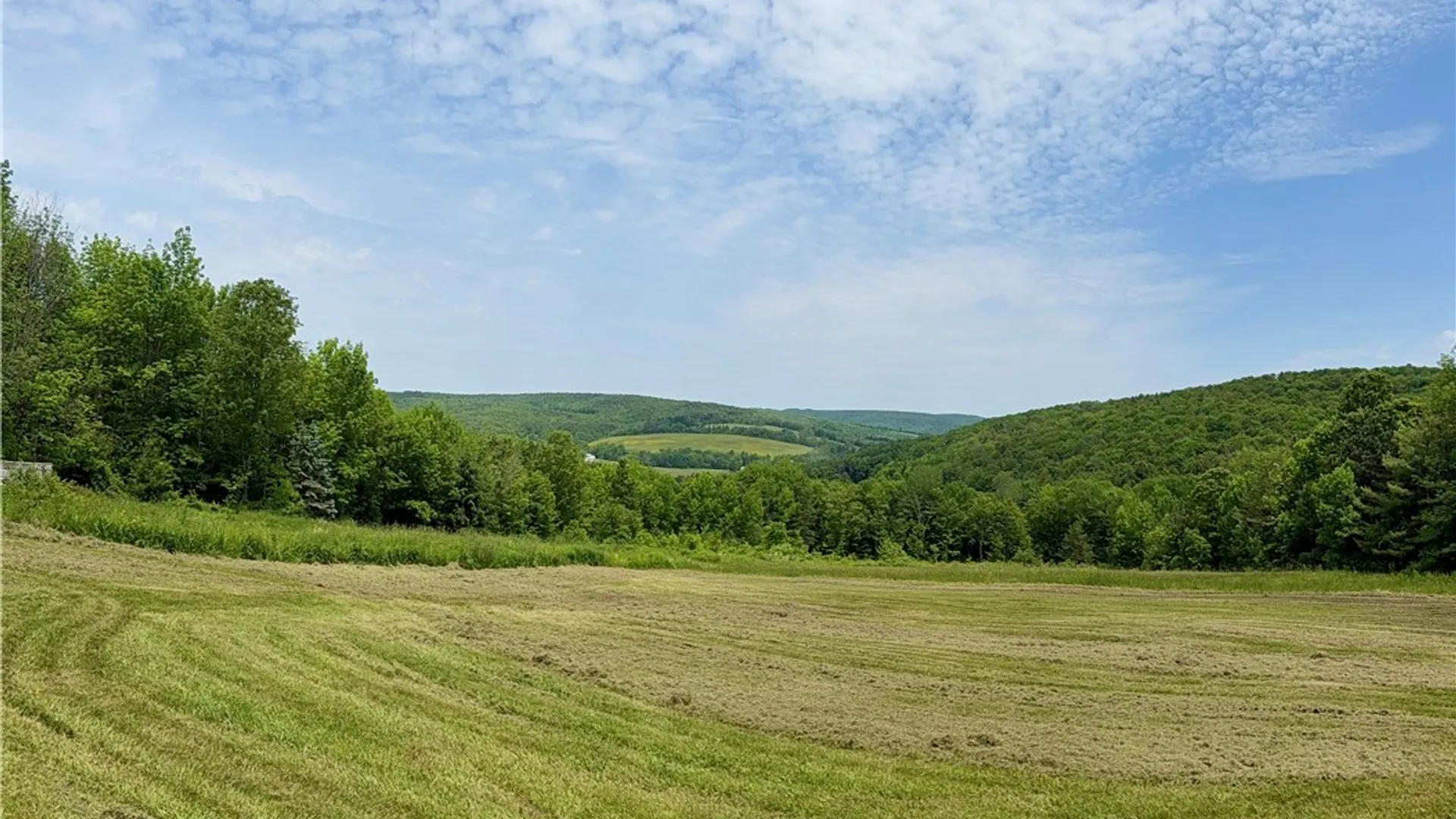 Property at 930 Reit Road, Otselic, NY 13464 4