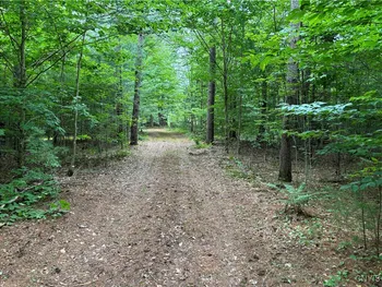 Property at 00 Cummings Road, Ohio, NY 13324