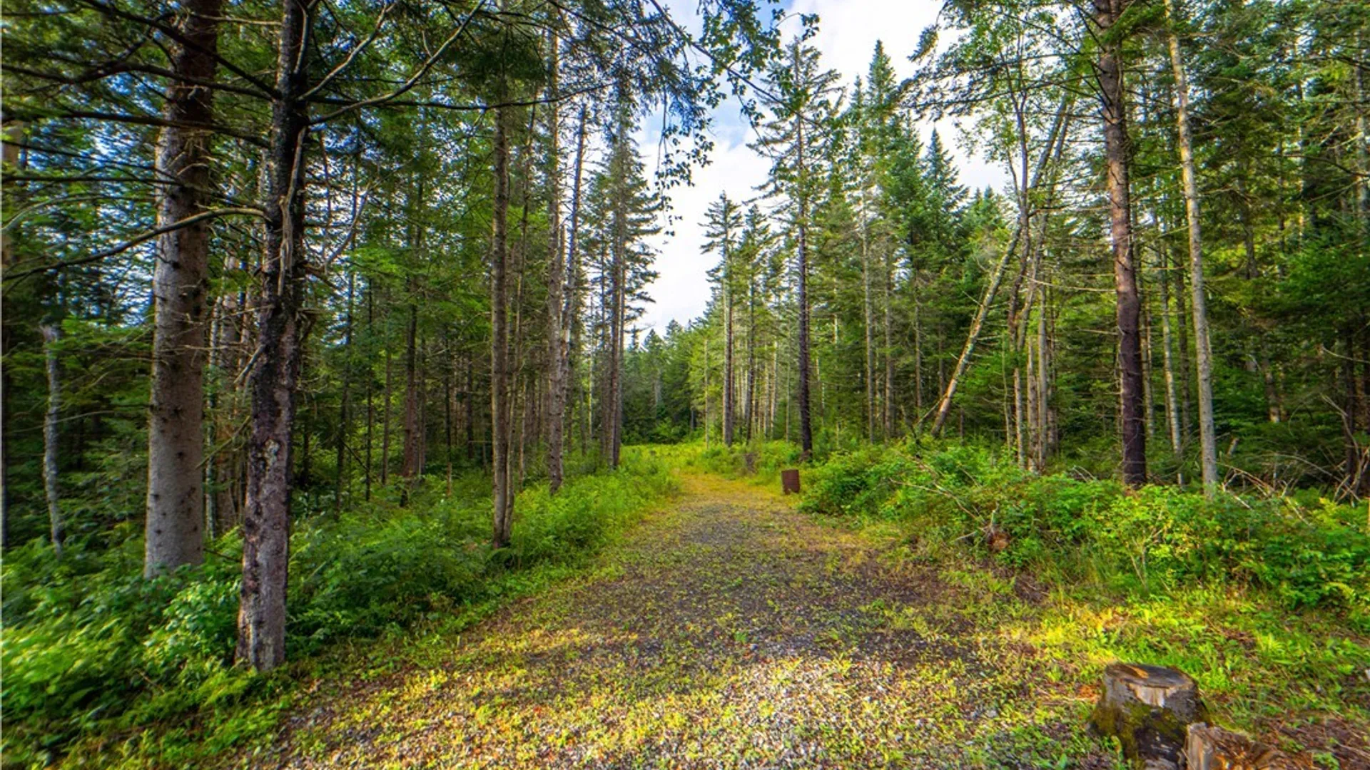 Property at 339 State Route 8, Morehouse, NY 13353 11