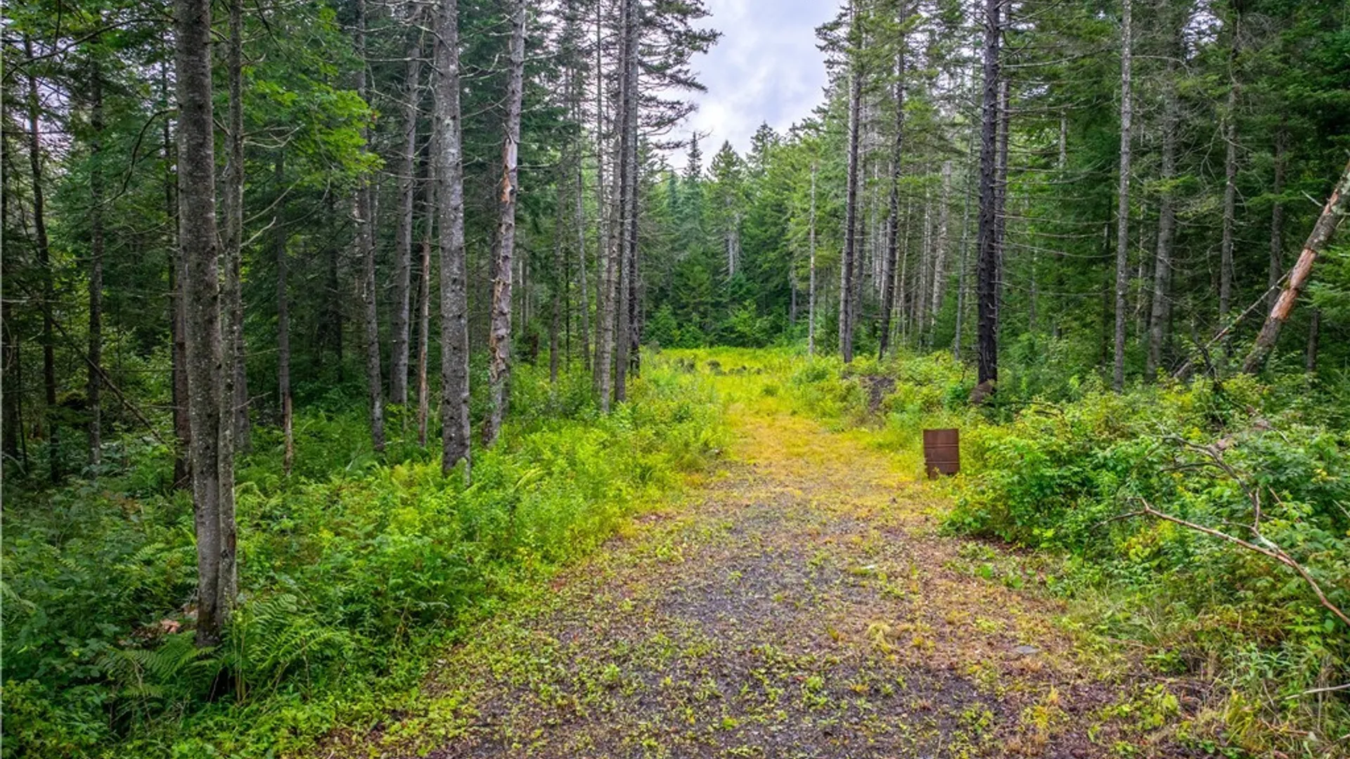 Property at 339 State Route 8, Morehouse, NY 13353 24