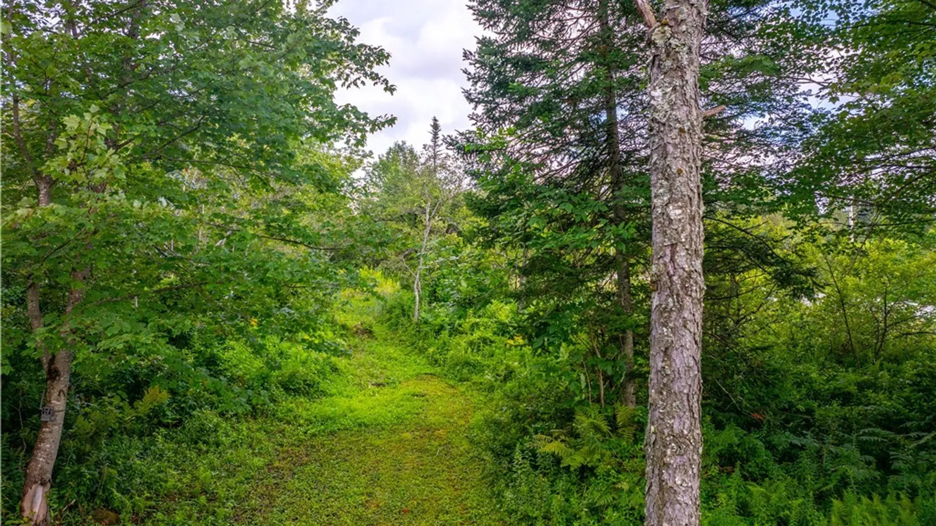 Property at 339 State Route 8, Morehouse, NY 13353 28