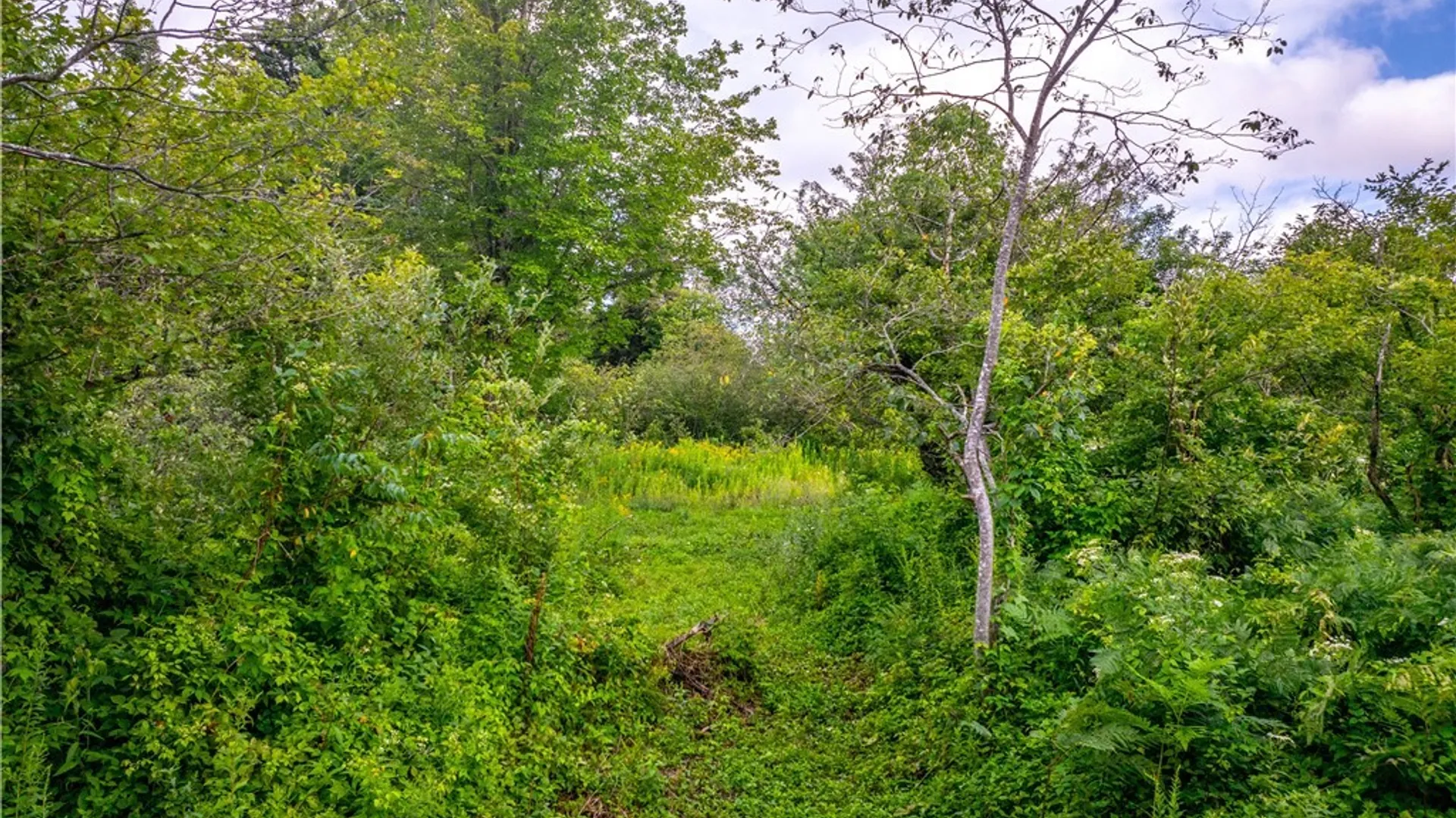 Property at 339 State Route 8, Morehouse, NY 13353 29