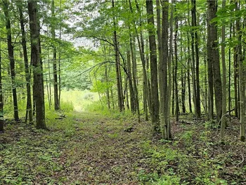 Property at 00 Reservoir Hill Road, Candor, NY 13743